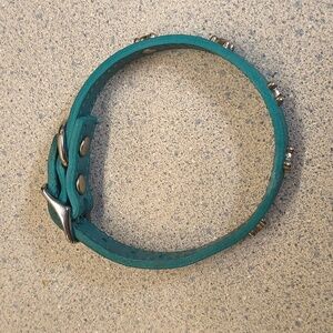 Petco Brand Teal Genuine Leather-Small Dog Collar-Like New
